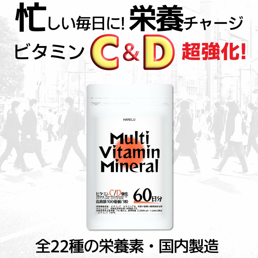 マルチビタミン マルチミネラル 2ヶ月分 マルチビタミンミネラル サプリメント ビタミンA ビタミンB群 乳酸菌 葉酸 鉄 亜鉛 カルシウム 銅 | HARELU（サプリ） | 01