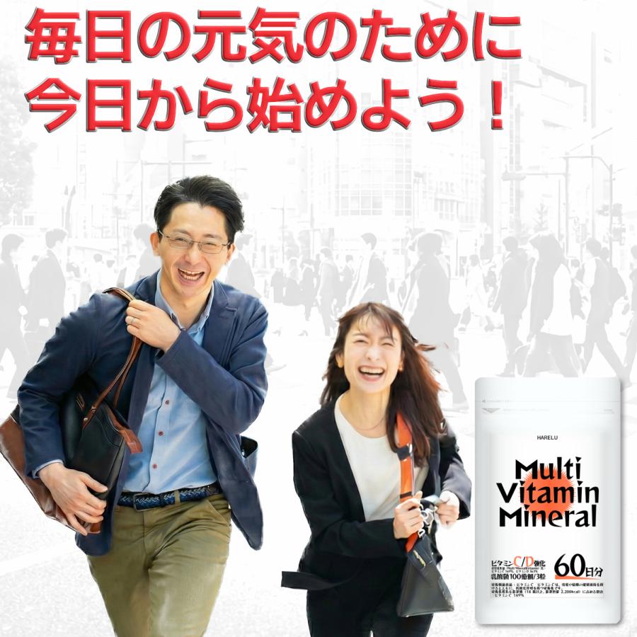 マルチビタミン マルチミネラル 2ヶ月分×2袋 マルチビタミンミネラル サプリメント ビタミンA ビタミンB群 乳酸菌 葉酸 鉄 亜鉛 カルシウム 銅 | HARELU（サプリ） | 11