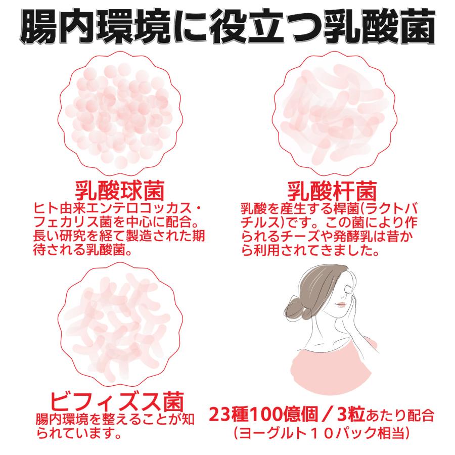 マルチビタミン マルチミネラル 2ヶ月分×2袋 マルチビタミンミネラル サプリメント ビタミンA ビタミンB群 乳酸菌 葉酸 鉄 亜鉛 カルシウム 銅 | HARELU（サプリ） | 07