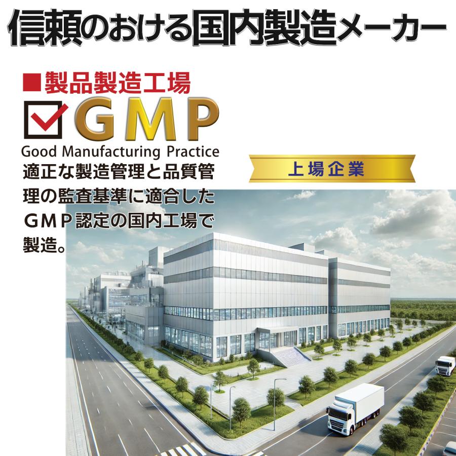 マルチビタミン マルチミネラル 2ヶ月分×3袋 マルチビタミンミネラル サプリメント ビタミンA ビタミンB群 乳酸菌 葉酸 鉄 亜鉛 カルシウム 銅 | HARELU（サプリ） | 10