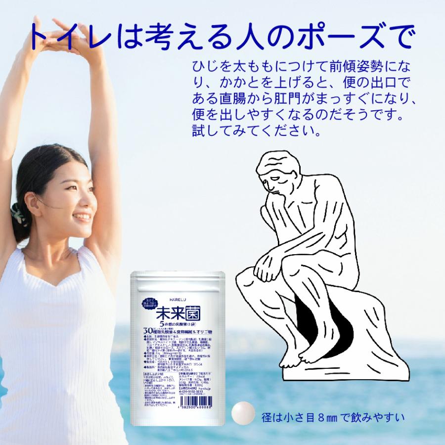 未来菌 乳酸菌 サプリ ビフィズス菌 30種類 5兆個 30日分 腸内フローラ プロバイオティクス 酪酸菌 クレンズ 腸内環境 オリゴ糖 食物繊維 有胞子性乳酸菌 | HARELU（サプリ） | 10