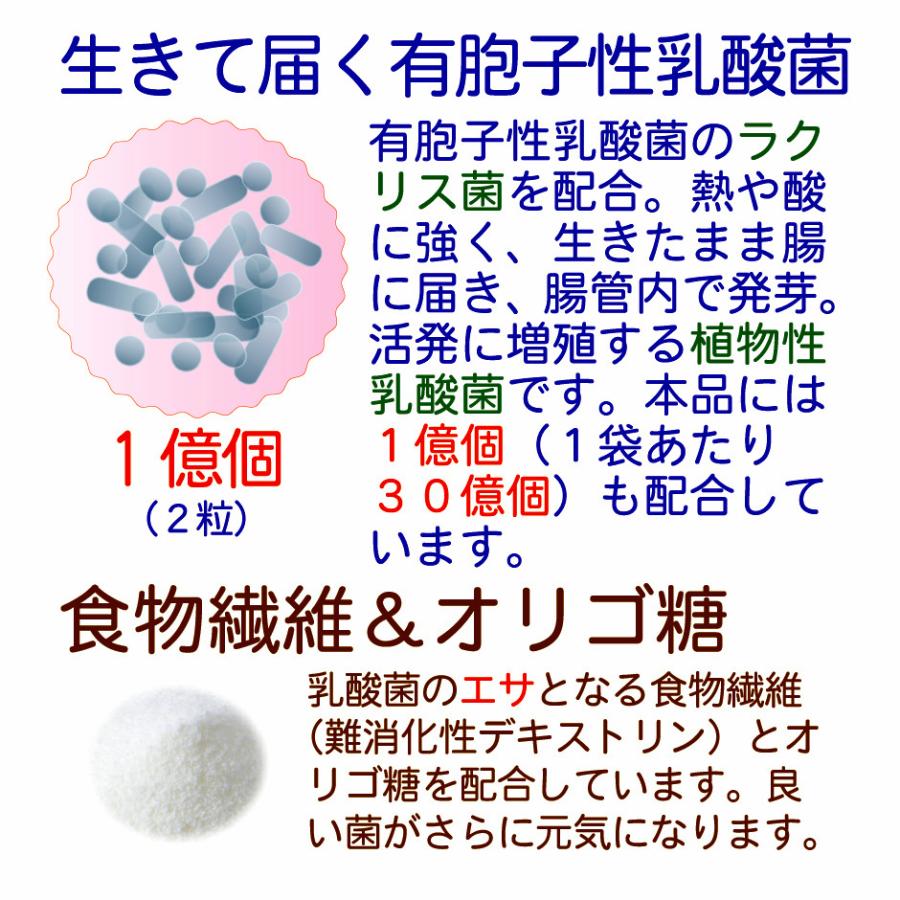 未来菌 乳酸菌 サプリ ビフィズス菌 30種類 5兆個 30日分 腸内フローラ プロバイオティクス 酪酸菌 クレンズ 腸内環境 オリゴ糖 食物繊維 有胞子性乳酸菌 | HARELU（サプリ） | 07