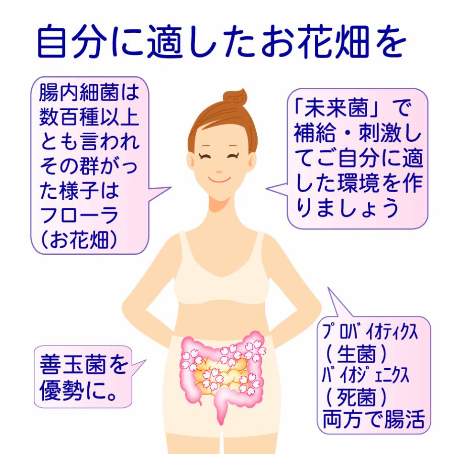 未来菌 乳酸菌 サプリ ビフィズス菌 30種類 5兆個 30日分 腸内フローラ プロバイオティクス 酪酸菌 クレンズ 腸内環境 オリゴ糖 食物繊維 有胞子性乳酸菌 | HARELU（サプリ） | 09