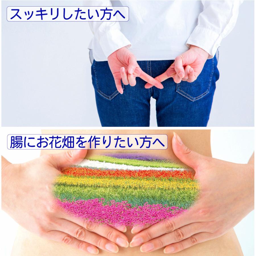 未来菌 乳酸菌 サプリ ビフィズス菌 30種類 5兆個 30日分×2袋 腸内フローラ プロバイオティクス 酪酸菌 クレンズ 腸内環境 オリゴ糖 食物繊維 有胞子性乳酸菌 | HARELU（サプリ） | 02