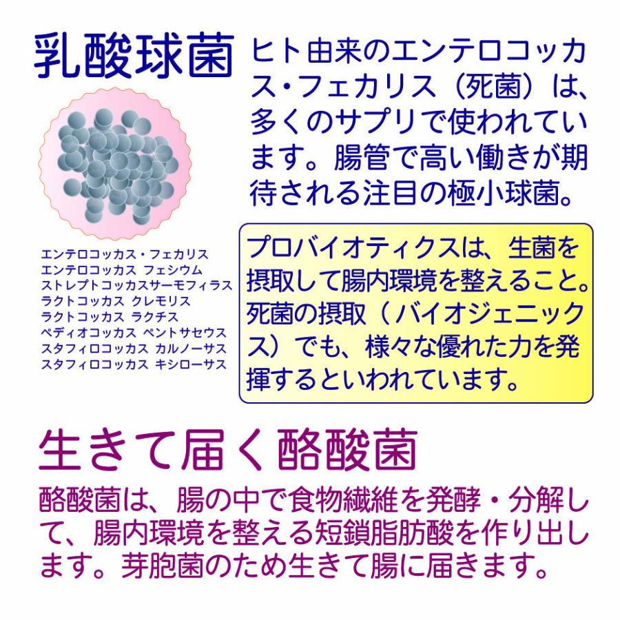 未来菌 乳酸菌 サプリ ビフィズス菌 30種類 5兆個 30日分×2袋 腸内フローラ プロバイオティクス 酪酸菌 クレンズ 腸内環境 オリゴ糖 食物繊維 有胞子性乳酸菌 | HARELU（サプリ） | 06