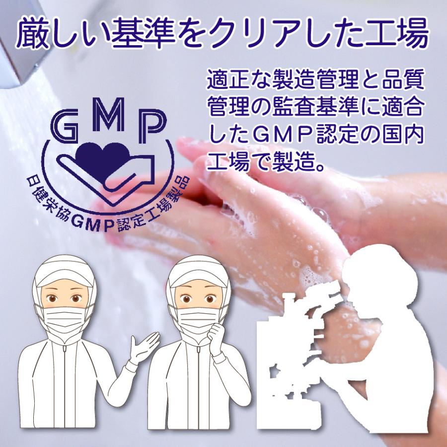 未来菌 乳酸菌 サプリ ビフィズス菌 30種類 5兆個 30日分×3袋 腸内フローラ プロバイオティクス 酪酸菌 クレンズ 腸内環境 オリゴ糖 食物繊維 有胞子性乳酸菌 | HARELU（サプリ） | 11