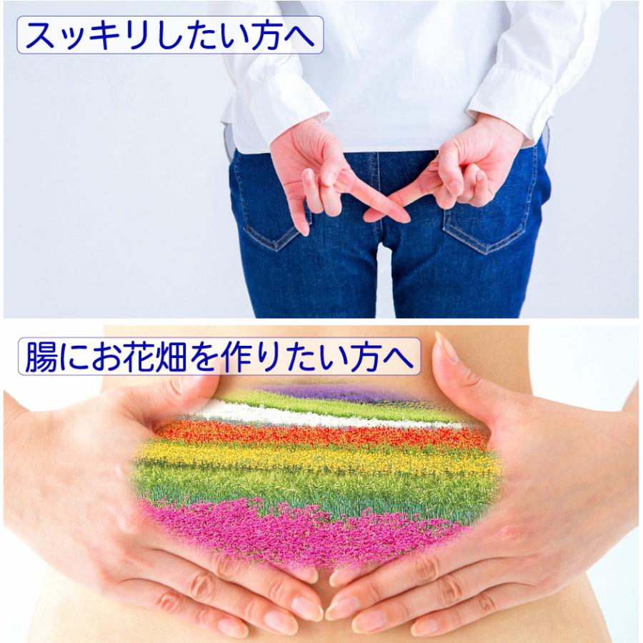 未来菌 乳酸菌 サプリ ビフィズス菌 30種類 5兆個 30日分×3袋 腸内フローラ プロバイオティクス 酪酸菌 クレンズ 腸内環境 オリゴ糖 食物繊維 有胞子性乳酸菌 | HARELU（サプリ） | 02