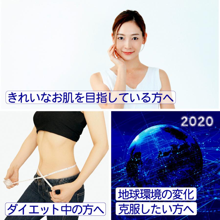 未来菌 乳酸菌 サプリ ビフィズス菌 30種類 5兆個 30日分×3袋 腸内フローラ プロバイオティクス 酪酸菌 クレンズ 腸内環境 オリゴ糖 食物繊維 有胞子性乳酸菌 | HARELU（サプリ） | 03