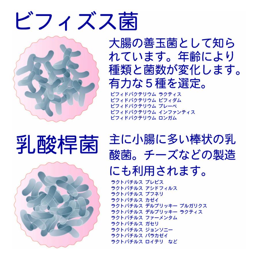 未来菌 乳酸菌 サプリ ビフィズス菌 30種類 5兆個 30日分×3袋 腸内フローラ プロバイオティクス 酪酸菌 クレンズ 腸内環境 オリゴ糖 食物繊維 有胞子性乳酸菌｜harelu7｜06