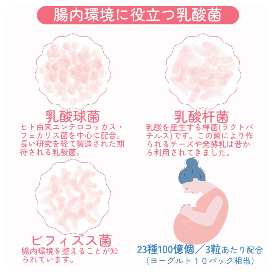 葉酸サプリ 60日分×2袋  妊婦 妊娠 授乳 鉄 鉄分不足 ビタミン ミネラル モノグルタミン酸型 赤ちゃん サプリメント mama vit 葉酸タブレット 亜鉛 妊活 サプリ | HARELU（サプリ） | 05