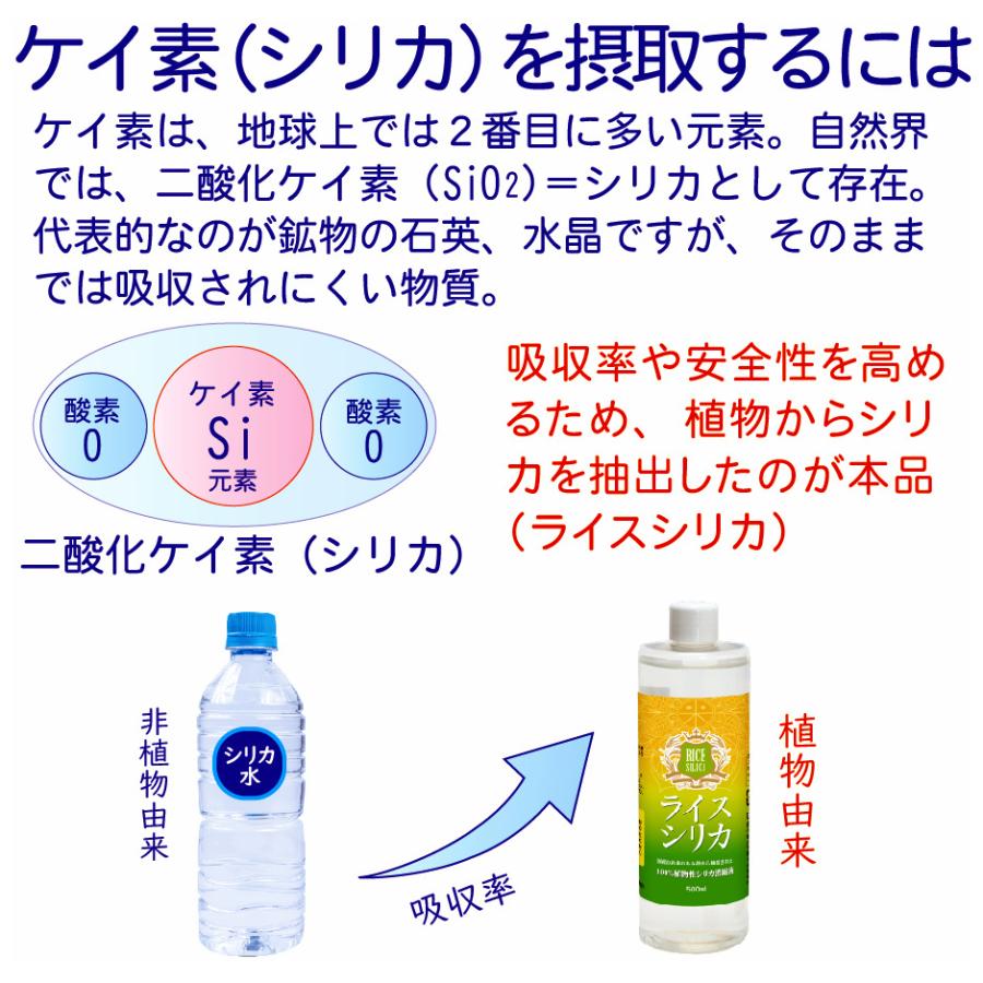 他が安ければ値引きします!!【◇最安値宣言◇】ライスシリカ 1本 水溶
