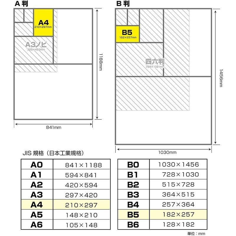 長門屋商店 カラーペーパー ナ-3302 A4厚口 100枚 レモン｜harenohiya｜05