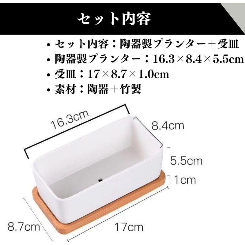 Quikaboo 植木鉢 陶器 サボテン 鉢 多肉植物鉢 室内屋外可能 容器 寄せ植え｜harenohiya｜06