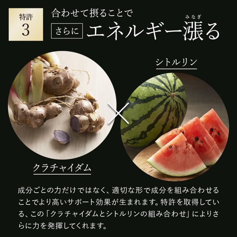 TOARUHI 23zi メンズ サポート サプリ 30袋 シトルリン アルギニン 亜鉛 サプリ マカ サプリメント クラチャイダム 活力　元気 |  | 13