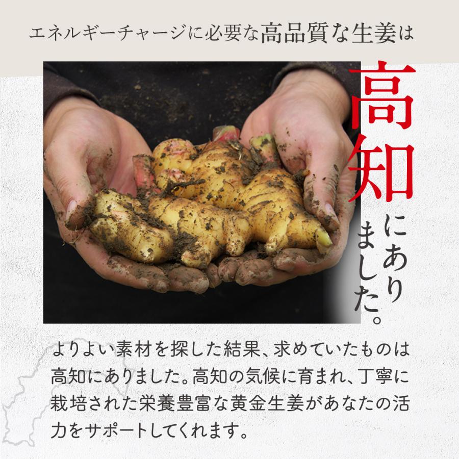 TOARUHI 23zi メンズ サポート 男の自信 サプリ 30袋 シトルリン アルギニン 亜鉛 サプリ マカ サプリメント クラチャイダム |  | 14