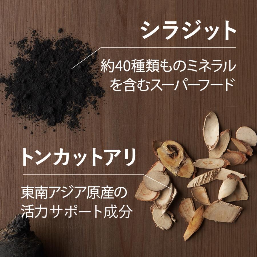 TOARUHI 23zi メンズ サポート 男の自信 サプリ 30袋 シトルリン アルギニン 亜鉛 サプリ マカ サプリメント クラチャイダム |  | 17