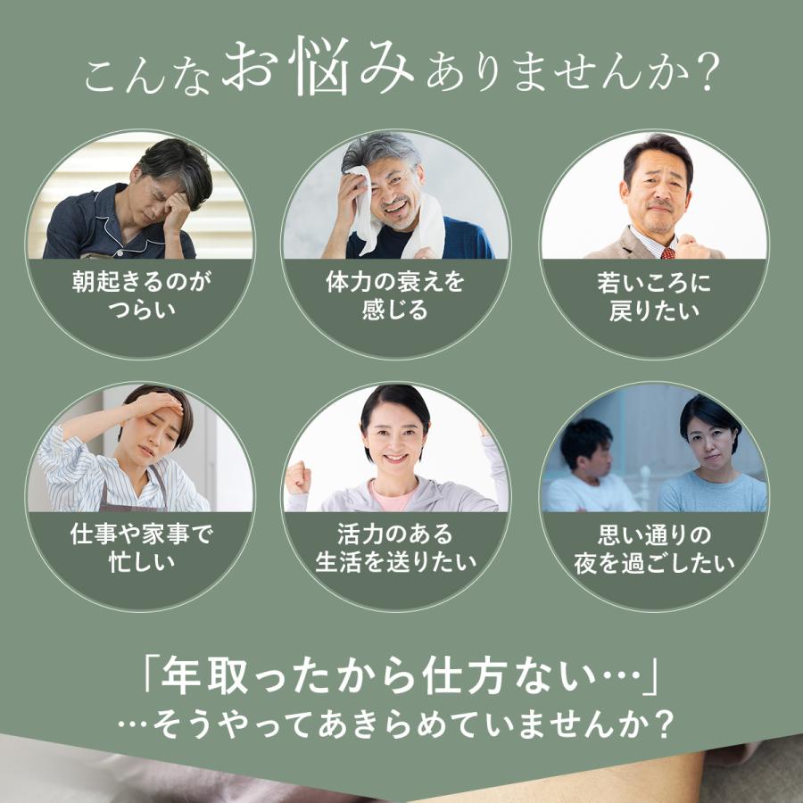 TOARUHI 23zi メンズ サポート 男の自信 サプリ 30袋 シトルリン アルギニン 亜鉛 サプリ マカ サプリメント クラチャイダム |  | 06