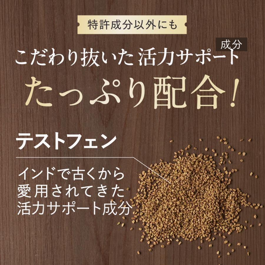 TOARUHI 23zi メンズ サポート 男の自信 サプリ 30袋 シトルリン アルギニン 亜鉛 サプリ マカ サプリメント クラチャイダム |  | 16