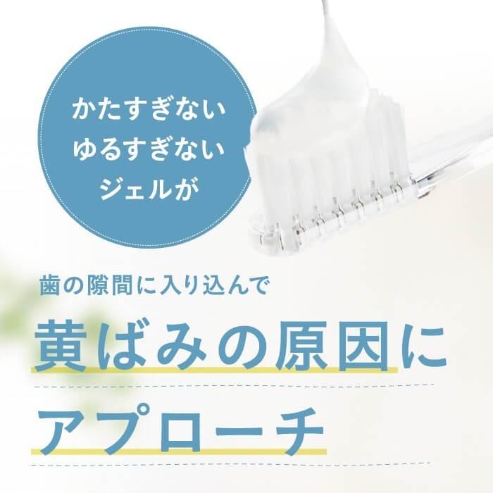 ホワイトニング歯磨き粉 はははのは (3個セット) | ホワイトニング 歯磨きジェル ホームホワイトニング 歯 歯を白くする 歯みがき粉 黄ばみ 送料無料 30g | CoーHeart | 12