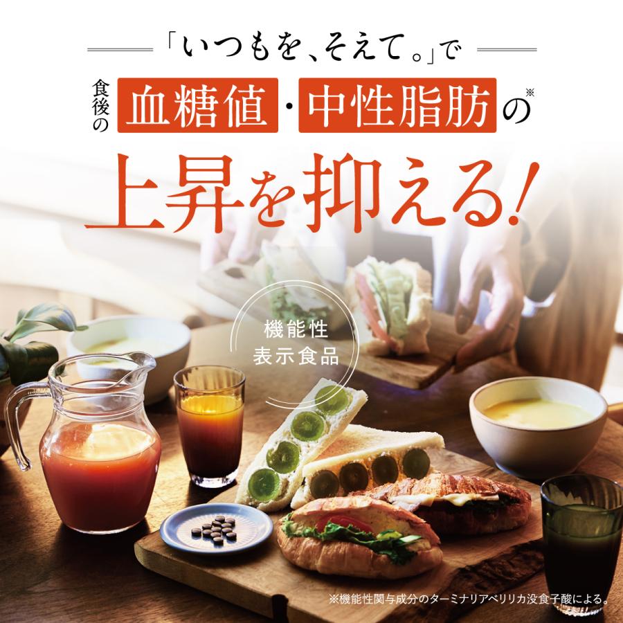 機能性表示食品 いつもを、そえて。 サプリ 120粒 おなかの脂肪 内臓