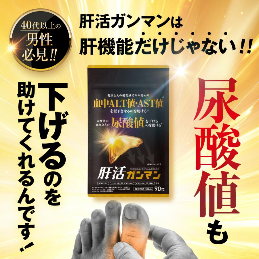 ファンファレ 【公式】 肝活ガンマン プレミアム 10日分 サプリメント