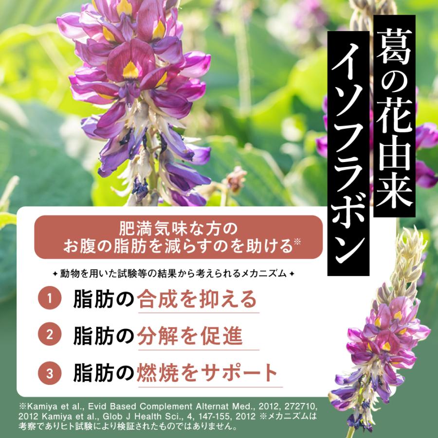 ファンファレ 【公式】 SOY it protein そいっと プロテイン