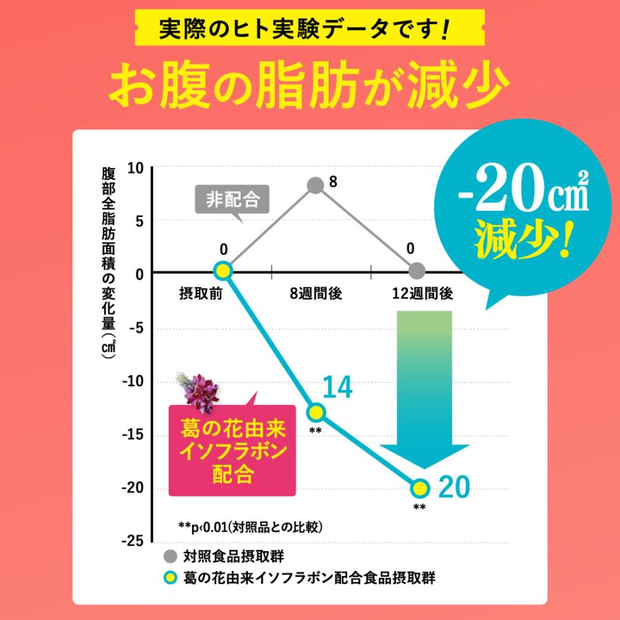 SOY it protein そいっと プロテイン 機能性表示食品 ファンファレ 174g 葛の花由来イソフラボン ダイエットサポート 内臓脂肪 皮下脂肪 大豆 タンパク質 |  | 05