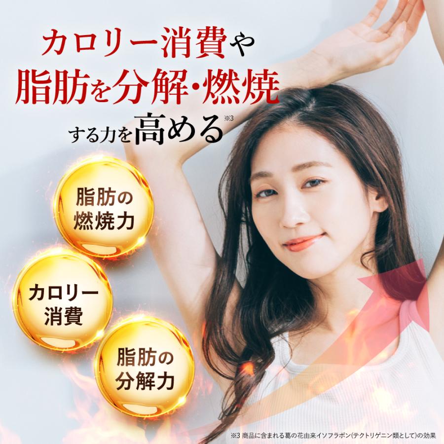 ファンファレ SOY it protein そいっと プロテイン 葛の花由来