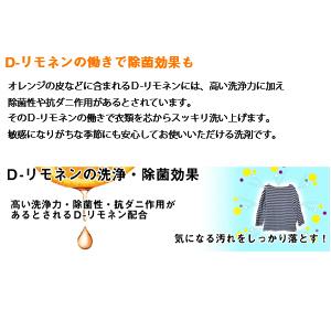 【新品未使用】 100%天然系家庭用ドライ洗剤「ドライ名人」3本セット 021895_4.jpg