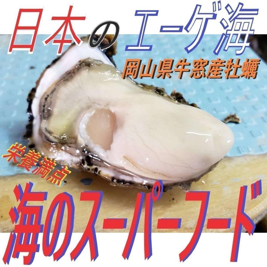 Youtubeで紹介 限界お試しパック 活き牡蠣 5個入約500 600g 岡山県 牛窓産 1年牡蠣 殻付き お試し用 加熱用 お取り寄せグルメ 殻洗浄済み カキ 一斗缶 Seiten Hareya 晴れ屋物産 通販 Yahoo ショッピング