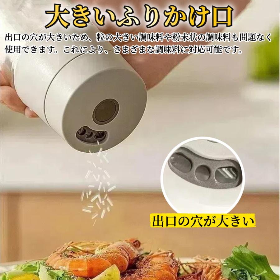 2in1 調味料ふり 【ハレゾラTBP公式店】 調味料入れ 塩入れ スパイス