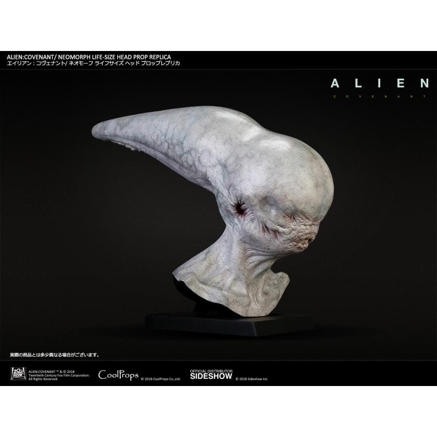 エイリアン：コヴェナント ゼノモーフ ライフサイズ ヘッド プロップレプリカ エイリアン：コヴェナント/ ゼノモーフ ライフサイズ ヘッド プロップ