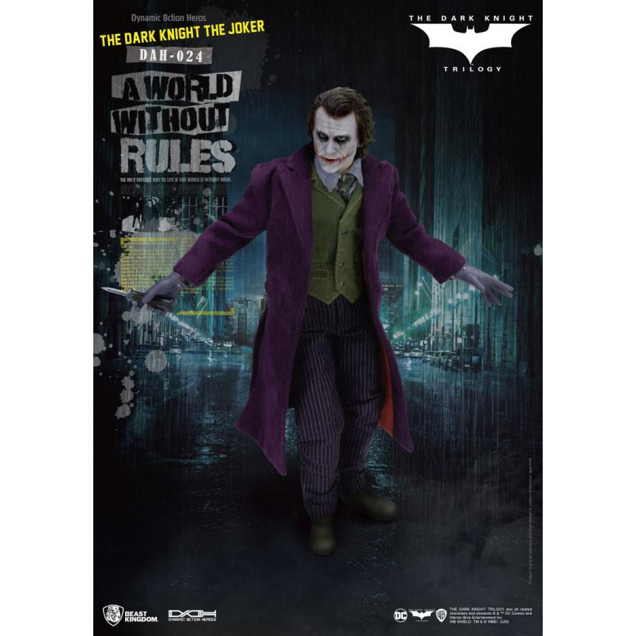 ダークナイト ダイナミック・アクション・ヒーロー 1/9スケール