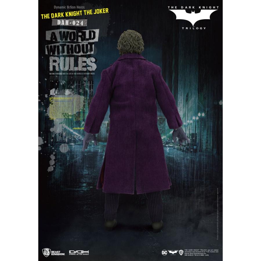 ダークナイト ダイナミック・アクション・ヒーロー 1/9スケール