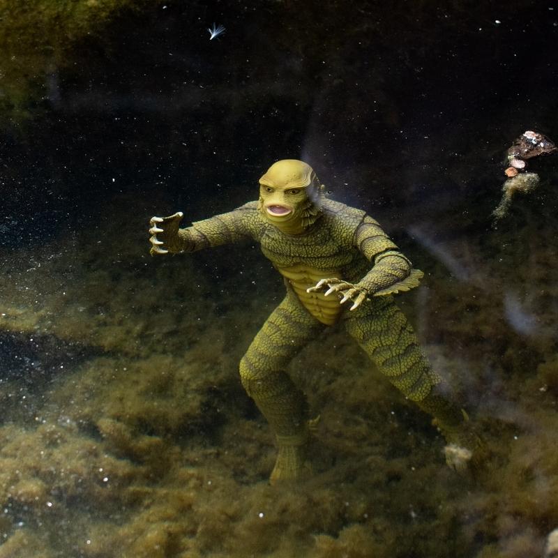 大アマゾンの半魚人 1/6アクションフィギュア ギルマン : Hollywood