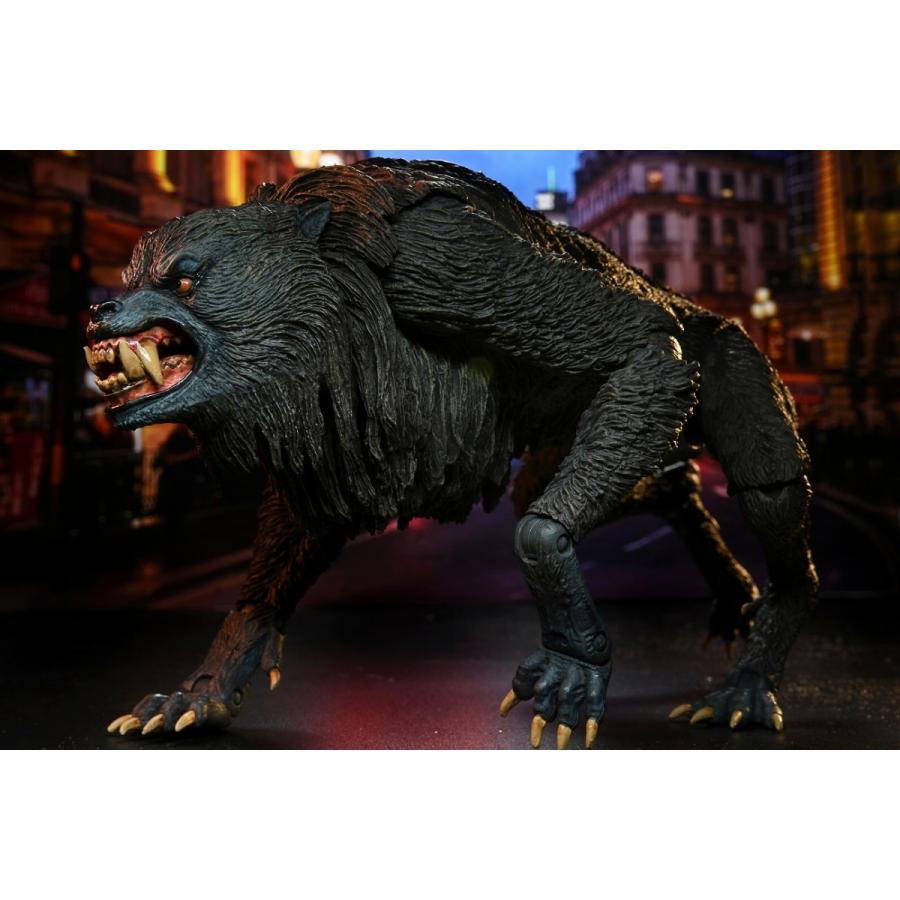ウェアウルフデヴィッドケ スラー狼男アメリカンAMERICAN WEREWOLF 狼男アメリカン/ ウェアウルフ デヴィッド・ケスラー アルティメット 7