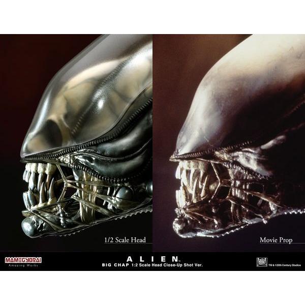 エイリアン/ ビッグチャップ: 1/2スケール・ヘッド【予約