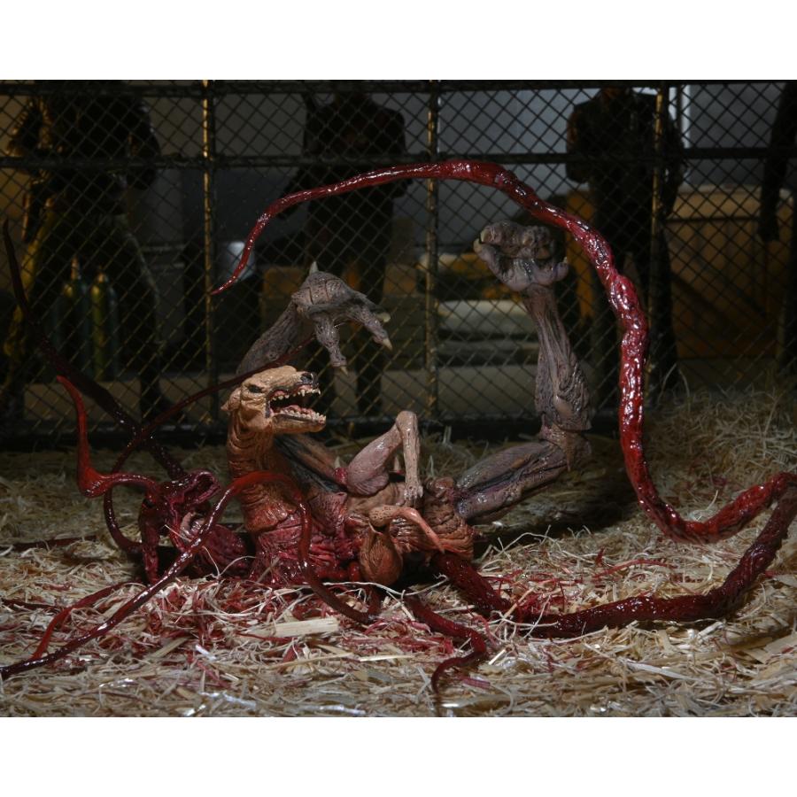 遊星からの物体X The Thing/ 物体X ドッグ・シング デラックス