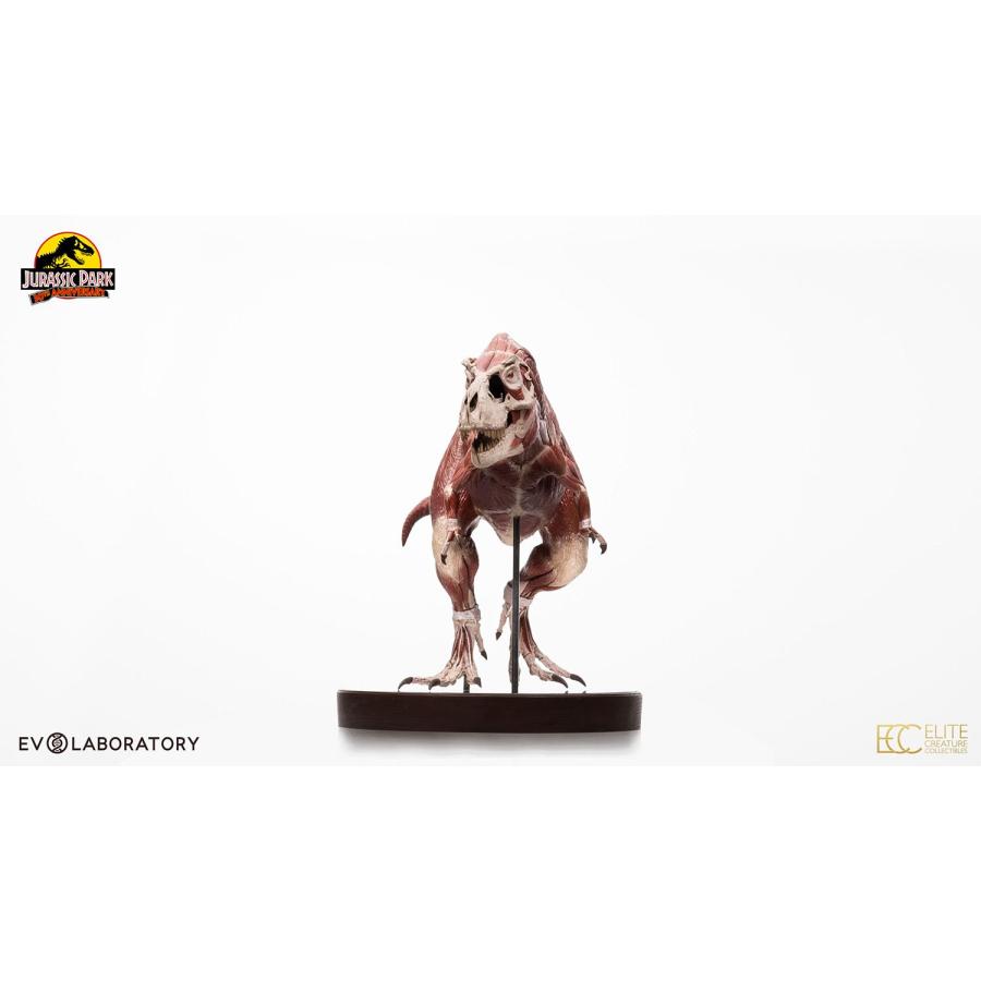 「超メルカリ市」 【前金制/代引き注文不可商品】ジュラシック・パーク　1/12スケールマケット　ティラノサウルス・レックス　アナトミー【予約】 【TMF3789135240】(133870円)