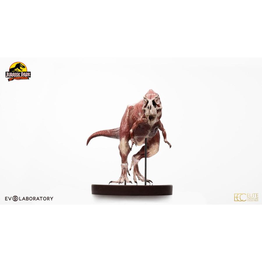 「超メルカリ市」 【前金制/代引き注文不可商品】ジュラシック・パーク　1/12スケールマケット　ティラノサウルス・レックス　アナトミー【予約】 【TMF3789135240】(133870円)