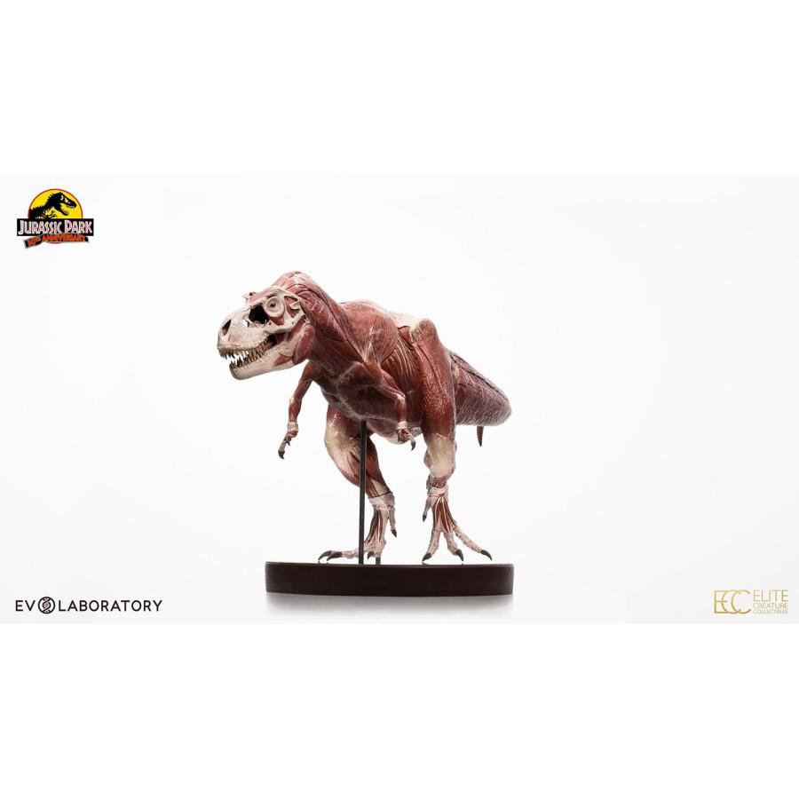 「超メルカリ市」 【前金制/代引き注文不可商品】ジュラシック・パーク　1/12スケールマケット　ティラノサウルス・レックス　アナトミー【予約】 【TMF3789135240】(133870円)