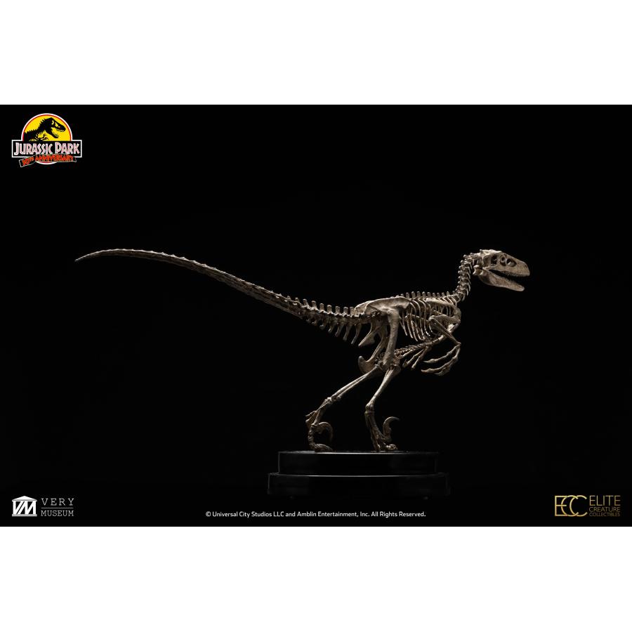 ジュラシック・パーク　1/4スケール　ヴェロキラプトル　特製アクリルケース付 ジュラシック・パーク 1/4スケール ブロンズスタチュー