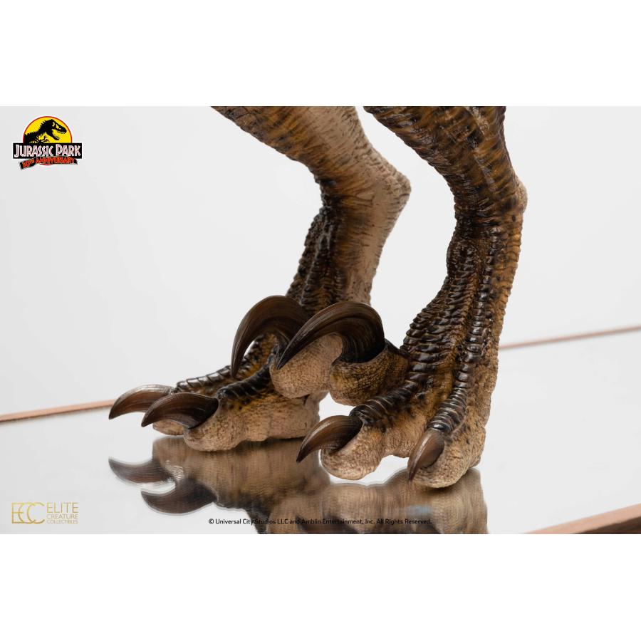 ジュラシック・パーク 1/4スケールマケット ヴェロキラプトル 特製