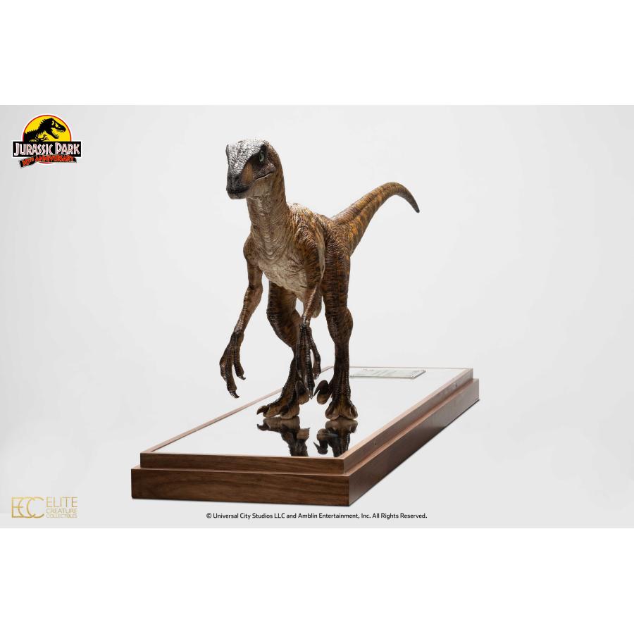 ジュラシック・パーク　1/4スケール　ヴェロキラプトル　特製アクリルケース付 ジュラシック・パーク 1/4スケール ヴェロキラプトル 特製アクリル
