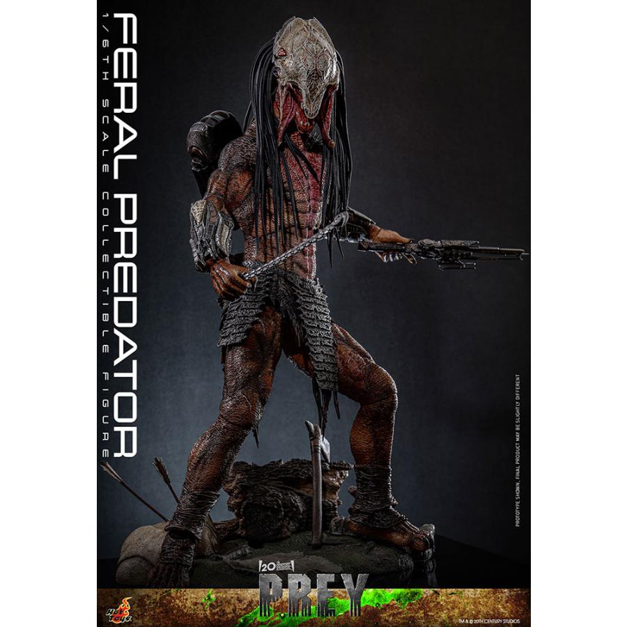 ホットトイズ1/6 プレデター ザ・プレイ フィアラル・プレデター TMS114 Amazon.co.jp: テレビ・マスターピース プレデター ザ・プレイ