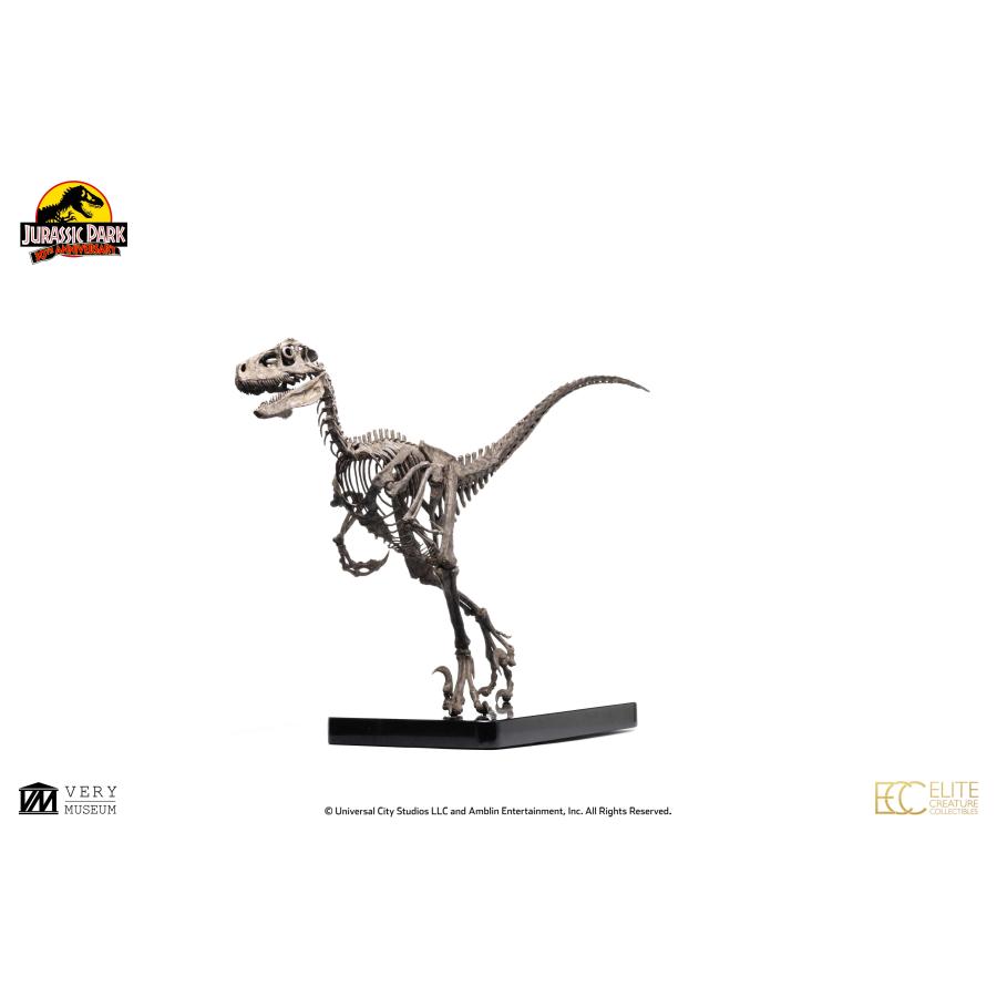 ジュラシック・パーク　1/4スケール　ヴェロキラプトル　特製アクリルケース付 ジュラシック・パーク 1/4スケールマケット ヴェロキラプトル