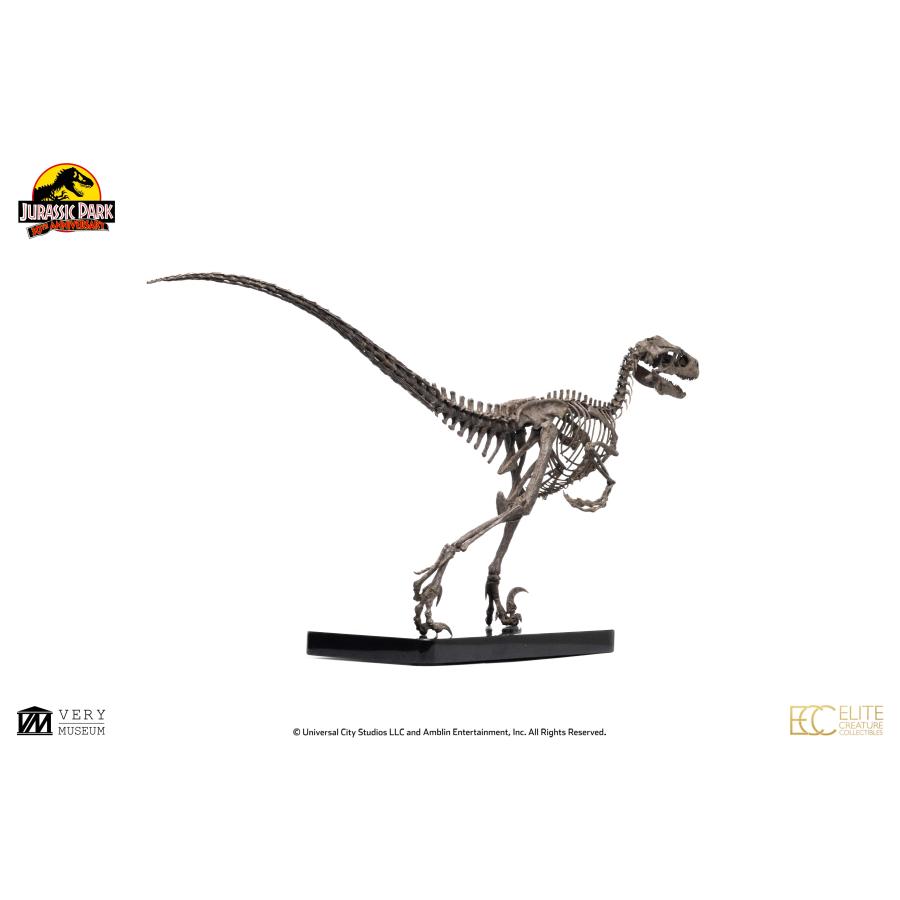 ジュラシック・パーク　1/4スケール　ヴェロキラプトル　特製アクリルケース付 ジュラシック・パーク 1/4スケールマケット ヴェロキラプトル