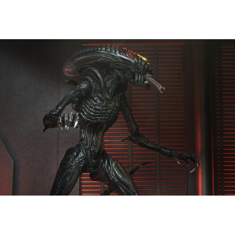 エイリアン:ロムルス/ スコーチド ゼノモーフ アルティメット 7 エイリアン:ロムルス/ スコーチド ゼノモーフ アルティメット 7