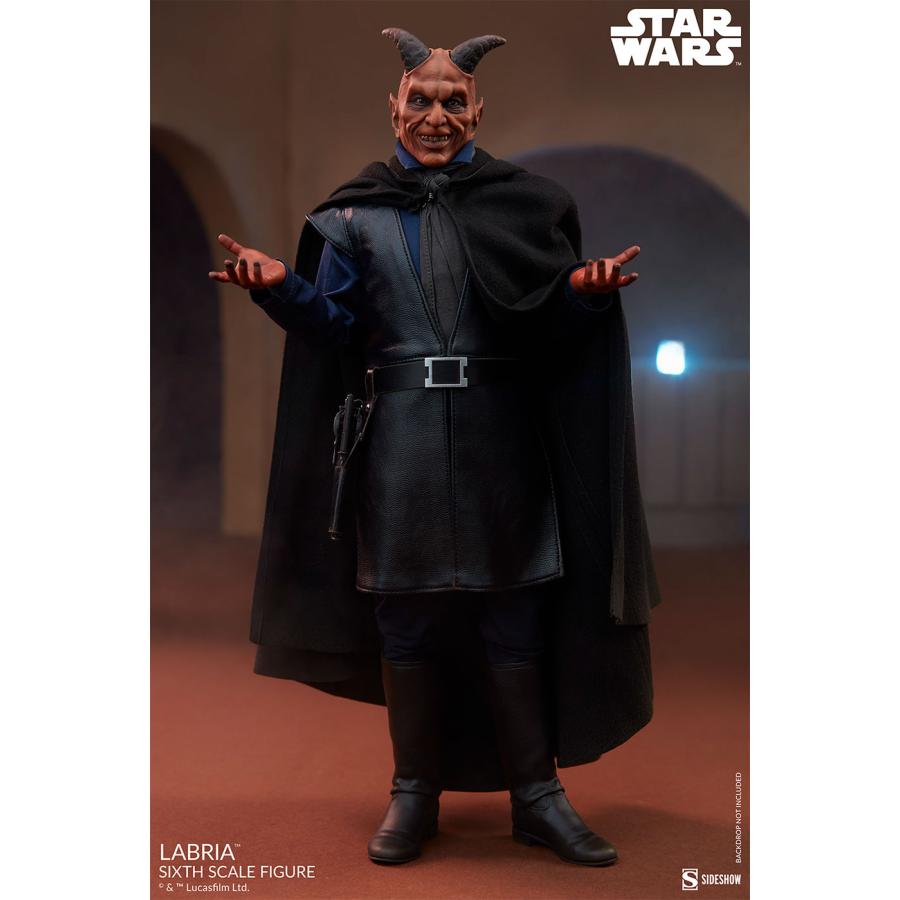 スター・ウォーズ 1/6スケールフィギュア スカム&ヴィラニー スター・ウォーズ 1/6スケールフィギュア スカム&ヴィラニー