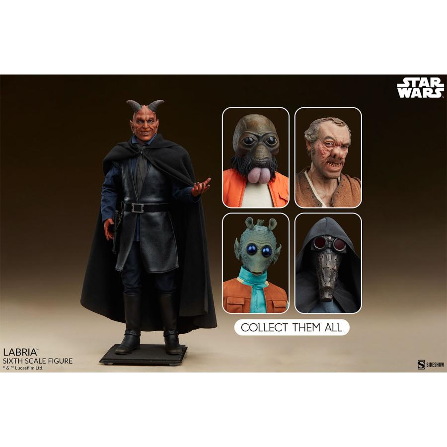 スター・ウォーズ 1/6スケールフィギュア スカム&ヴィラニー スター・ウォーズ 1/6スケールフィギュア スカム&ヴィラニー